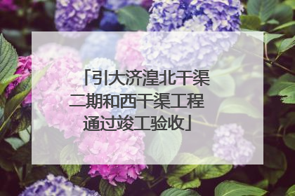 引大济湟北干渠二期和西干渠工程通过竣工验收