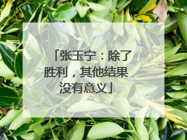 张玉宁：除了胜利，其他结果没有意义