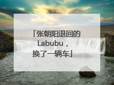 张朝阳退回的Labubu，换了一辆车