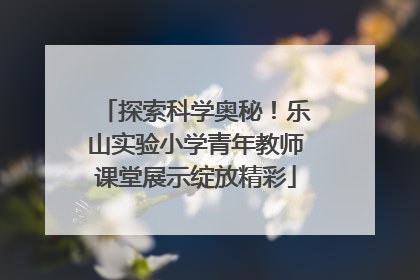 探索科学奥秘！乐山实验小学青年教师课堂展示绽放精彩