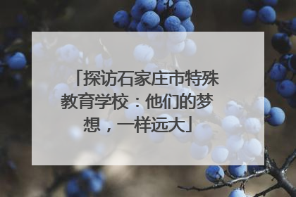 探访石家庄市特殊教育学校：他们的梦想，一样远大