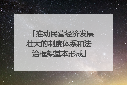 推动民营经济发展壮大的制度体系和法治框架基本形成