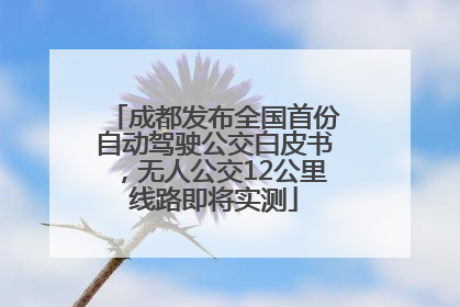成都发布全国首份自动驾驶公交白皮书，无人公交12公里线路即将实测