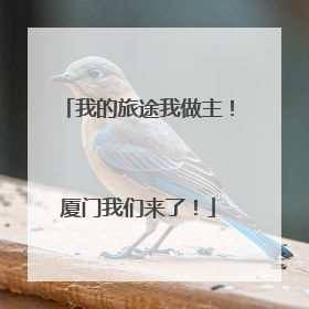 我的旅途我做主！厦门我们来了！