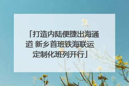 打造内陆便捷出海通道 新乡首班铁海联运定制化班列开行