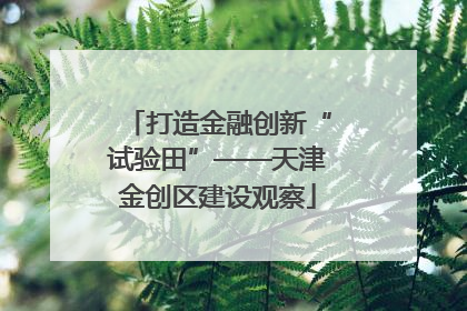 打造金融创新“试验田”——天津金创区建设观察