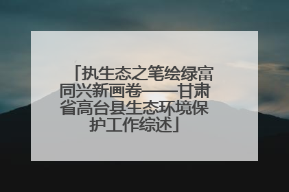 执生态之笔绘绿富同兴新画卷——甘肃省高台县生态环境保护工作综述