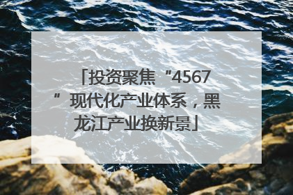 投资聚焦“4567”现代化产业体系，黑龙江产业换新景