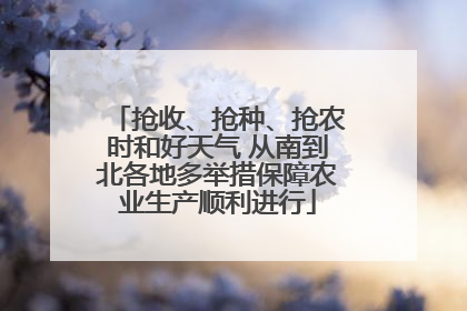 抢收、抢种、抢农时和好天气 从南到北各地多举措保障农业生产顺利进行