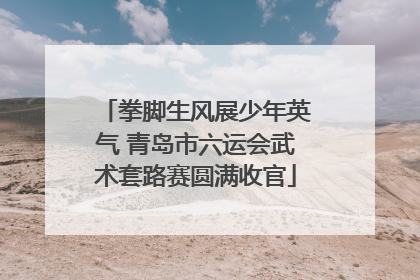 拳脚生风展少年英气 青岛市六运会武术套路赛圆满收官