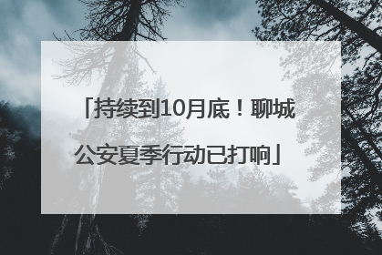 持续到10月底！聊城公安夏季行动已打响