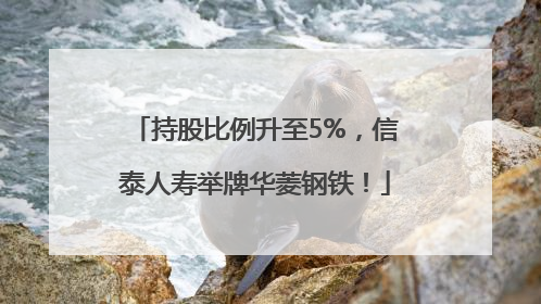 持股比例升至5%，信泰人寿举牌华菱钢铁！