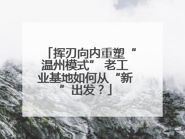 挥刃向内重塑“温州模式” 老工业基地如何从“新”出发？