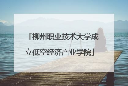 柳州职业技术大学成立低空经济产业学院