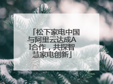 松下家电中国与阿里云达成AI合作，共探智慧家电创新