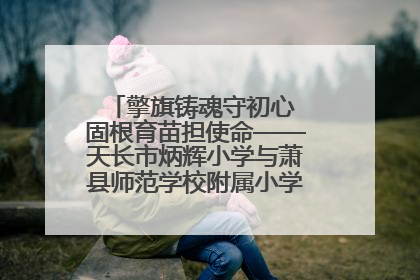 擎旗铸魂守初心 固根育苗担使命——天长市炳辉小学与萧县师范学校附属小学结对共建活动纪实