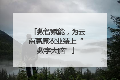 数智赋能，为云南高原农业装上“数字大脑”