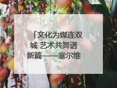 文化为媒连双城 艺术共舞谱新篇——塞尔维亚科瓦契察市代表团访问日照