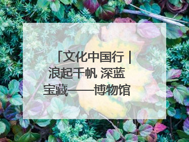 文化中国行｜浪起千帆 深蓝宝藏——博物馆里的海丝遗珍