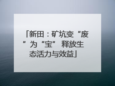 新田：矿坑变“废”为“宝” 释放生态活力与效益