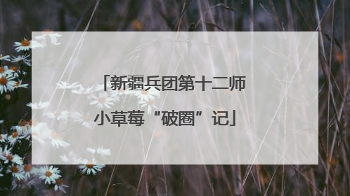 新疆兵团第十二师小草莓“破圈”记