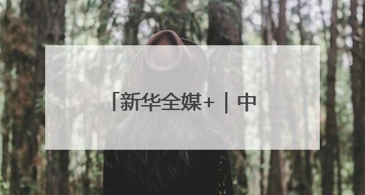 新华全媒+｜中欧班列累计开行110000列
