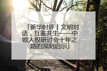 新华时评丨文明对话，互鉴共生——中欧人权研讨会十年之路的深刻启示