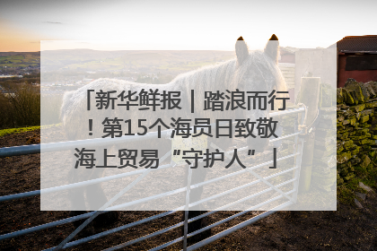 新华鲜报｜踏浪而行！第15个海员日致敬海上贸易“守护人”