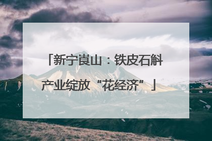 新宁崀山：铁皮石斛产业绽放“花经济”
