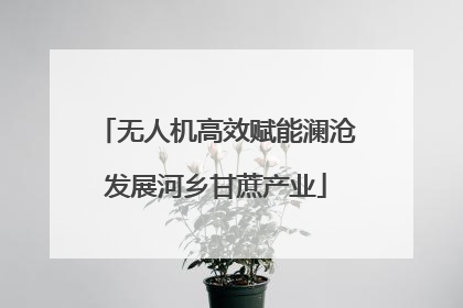 无人机高效赋能澜沧发展河乡甘蔗产业