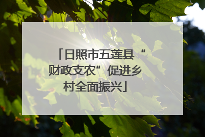 日照市五莲县“财政支农”促进乡村全面振兴