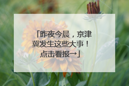 昨夜今晨，京津冀发生这些大事！点击看报→