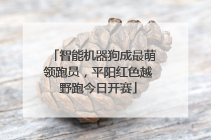智能机器狗成最萌领跑员，平阳红色越野跑今日开赛