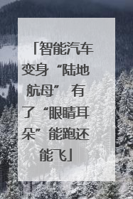 智能汽车变身“陆地航母” 有了“眼睛耳朵”能跑还能飞