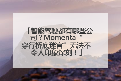 智能驾驶都有哪些公司？Momenta“穿行桥底迷宫”无法不令人印象深刻！