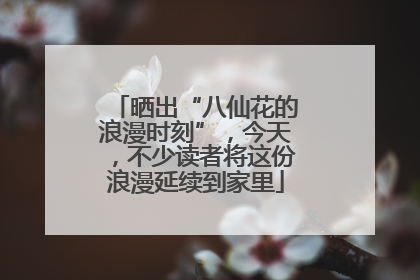 晒出“八仙花的浪漫时刻”，今天，不少读者将这份浪漫延续到家里