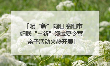 暖“新”向阳 襄阳市妇联“三新”领域夏令营亲子活动火热开展