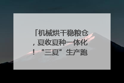 机械烘干稳粮仓，夏收夏种一体化！“三夏”生产跑出加速度｜麦报