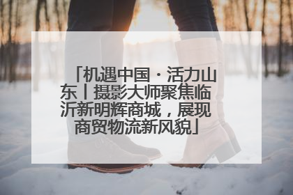 机遇中国・活力山东丨摄影大师聚焦临沂新明辉商城，展现商贸物流新风貌