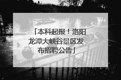 本科起报！洛阳龙潭大峡谷景区发布招聘公告
