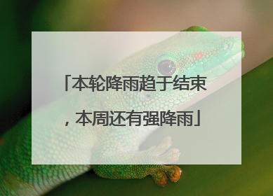 本轮降雨趋于结束，本周还有强降雨
