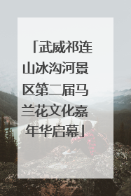 武威祁连山冰沟河景区第二届马兰花文化嘉年华启幕