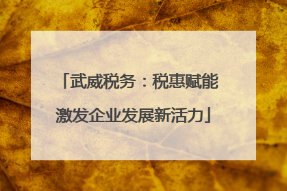 武威税务:税惠赋能 激发企业发展新活力
