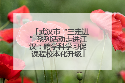 武汉市“三走进”系列活动走进江汉：跨学科学习促课程校本化升级