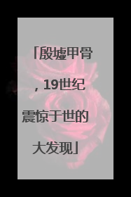 殷墟甲骨，19世纪震惊于世的大发现