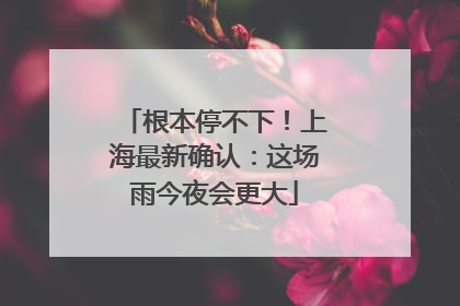 根本停不下！上海最新确认：这场雨今夜会更大