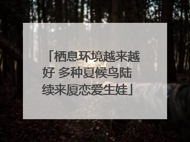 栖息环境越来越好 多种夏候鸟陆续来厦恋爱生娃
