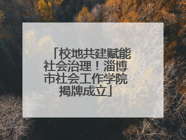 校地共建赋能社会治理！淄博市社会工作学院揭牌成立