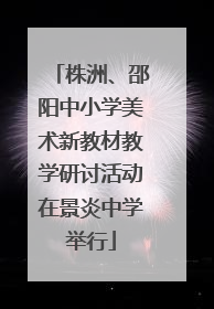 株洲、邵阳中小学美术新教材教学研讨活动在景炎中学举行
