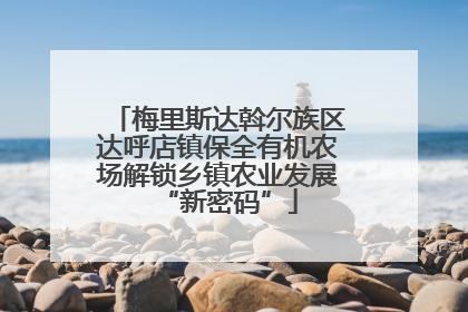 梅里斯达斡尔族区达呼店镇保全有机农场解锁乡镇农业发展“新密码”